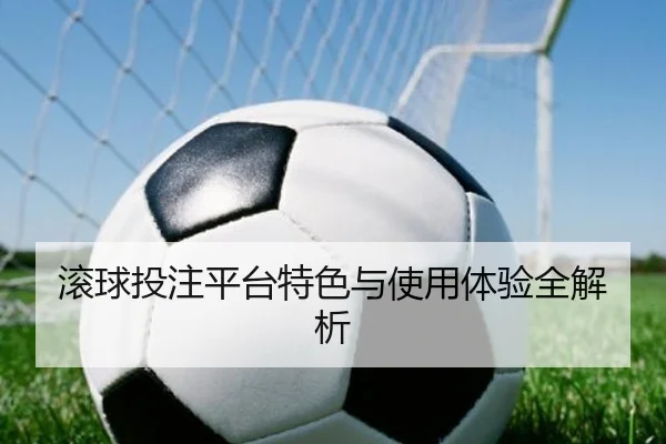 滚球投注平台特色与使用体验全解析