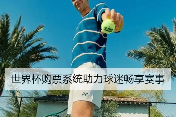 世界杯购票系统助力球迷畅享赛事