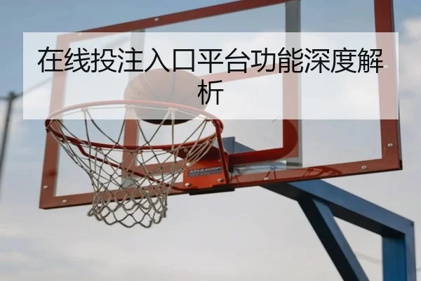 在线投注入口平台功能深度解析